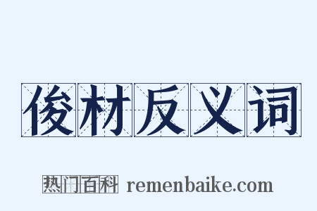俊材反义词是什么意思的图片